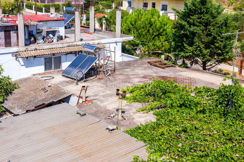 园林绿化工程施工 从规划设计到维护管理的全流程