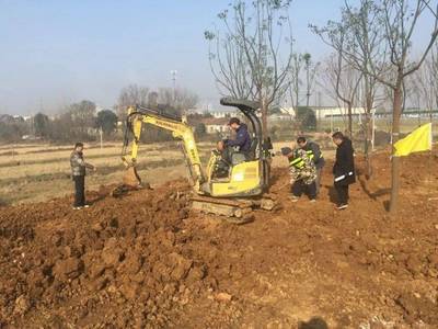 元旦前，应城再添靓丽绿化节点，守护文物文化遗址